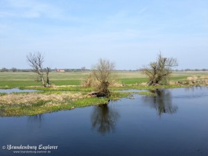 170401_Westhavelland_12