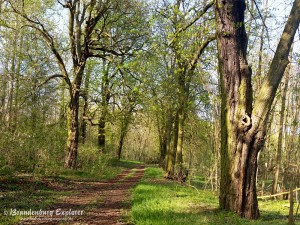 170409_Fürstenwalde-Frankfurt_23