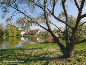 20180421_Seelow_05