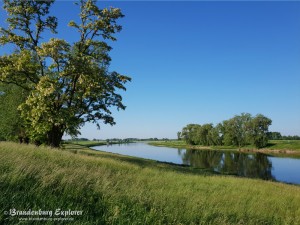 20180520_Elbe-Elster_20