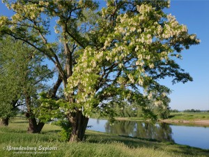 20180520_Elbe-Elster_21