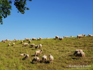 20180520_Elbe-Elster_23