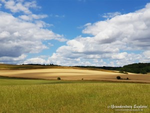 Mecklenburg_07