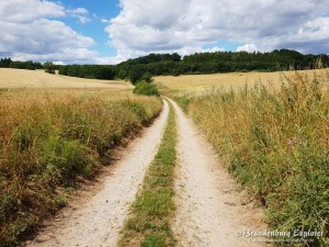 Mecklenburg_08